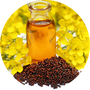  Rapeseed Oil