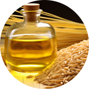 Rice Bran Oil