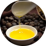 Tea Seed Oil