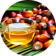 Palm Oil